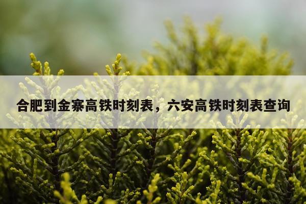 合肥到金寨高铁时刻表，六安高铁时刻表查询