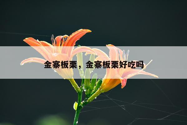 金寨板栗，金寨板栗好吃吗