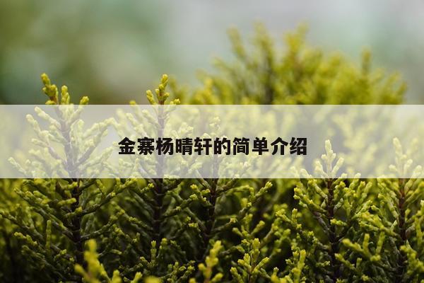 金寨杨晴轩的简单介绍