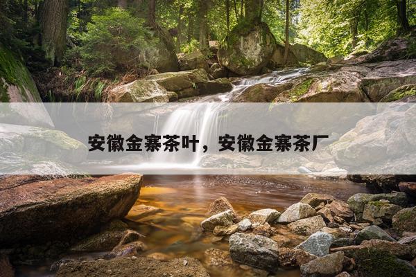 安徽金寨茶叶，安徽金寨茶厂
