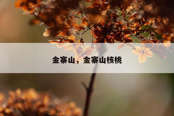 金寨山，金寨山核桃