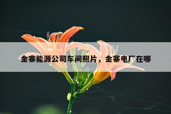 金寨能源公司车间照片，金寨电厂在哪