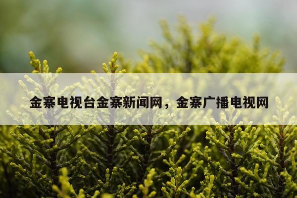 金寨电视台金寨新闻网，金寨广播电视网