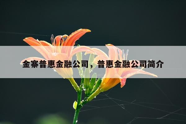 金寨普惠金融公司，普惠金融公司简介
