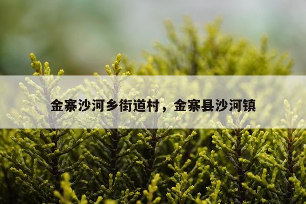 金寨沙河乡街道村，金寨县沙河镇