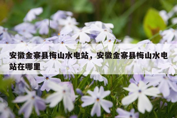 安徽金寨县梅山水电站，安徽金寨县梅山水电站在哪里