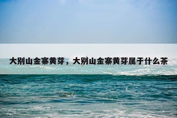 大别山金寨黄芽，大别山金寨黄芽属于什么茶