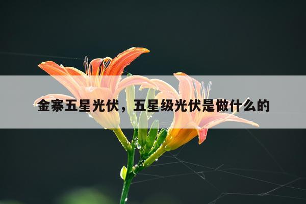 金寨五星光伏，五星级光伏是做什么的