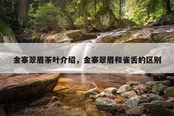 金寨翠眉茶叶介绍，金寨翠眉和雀舌的区别