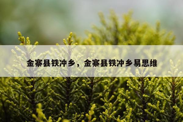 金寨县铁冲乡，金寨县铁冲乡易思维