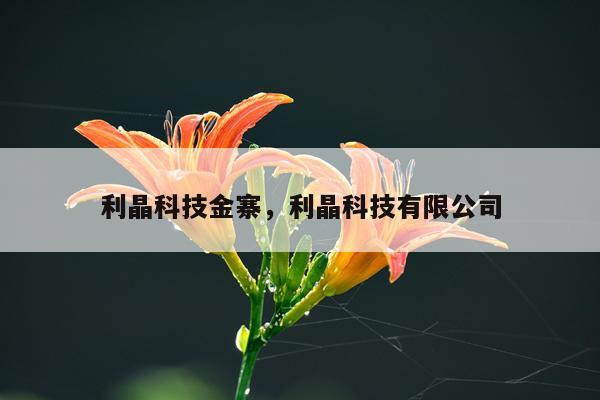 利晶科技金寨，利晶科技有限公司