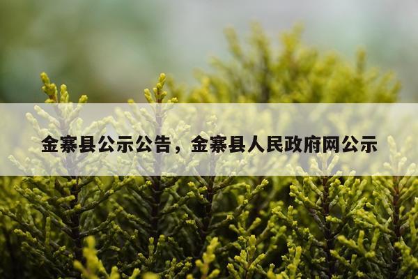 金寨县公示公告，金寨县人民政府网公示