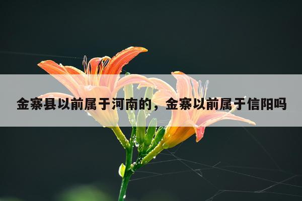 金寨县以前属于河南的，金寨以前属于信阳吗