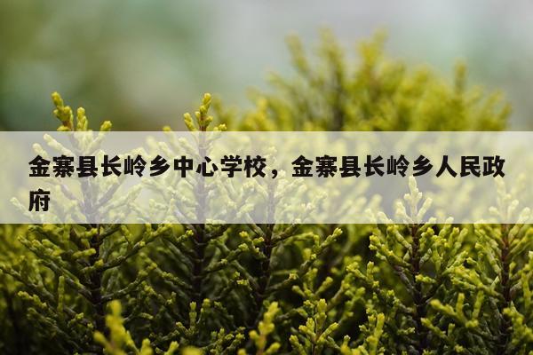 金寨县长岭乡中心学校，金寨县长岭乡人民政府