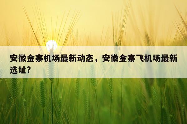 安徽金寨机场最新动态，安徽金寨飞机场最新选址?