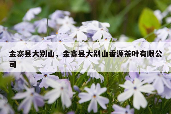 金寨县大别山，金寨县大别山香源茶叶有限公司