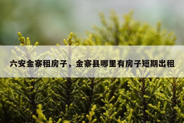 六安金寨租房子，金寨县哪里有房子短期出租