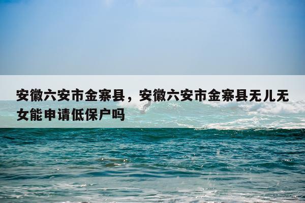 安徽六安市金寨县，安徽六安市金寨县无儿无女能申请低保户吗