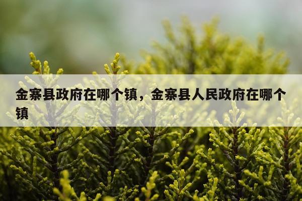 金寨县政府在哪个镇，金寨县人民政府在哪个镇