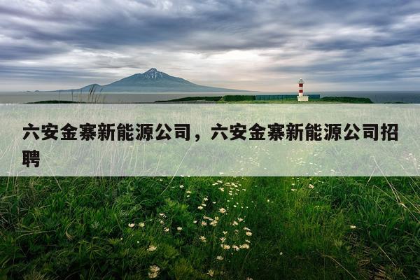 六安金寨新能源公司，六安金寨新能源公司招聘