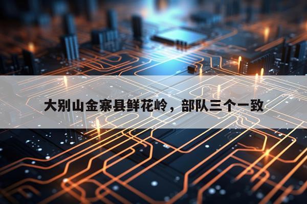 大别山金寨县鲜花岭，部队三个一致