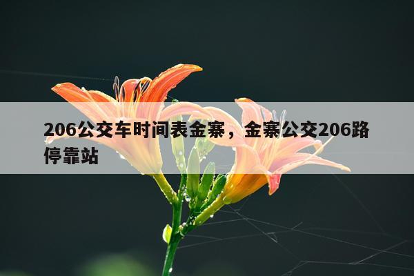 206公交车时间表金寨，金寨公交206路停靠站