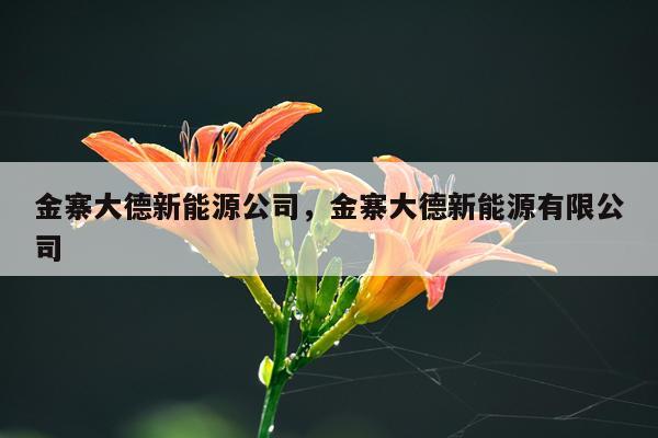 金寨大德新能源公司，金寨大德新能源有限公司