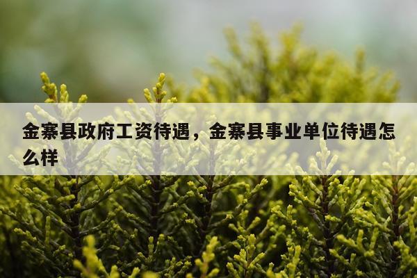 金寨县政府工资待遇，金寨县事业单位待遇怎么样