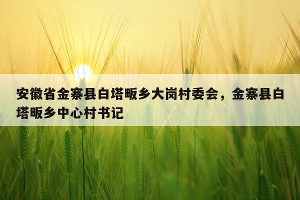 安徽省金寨县白塔畈乡大岗村委会，金寨县白塔畈乡中心村书记