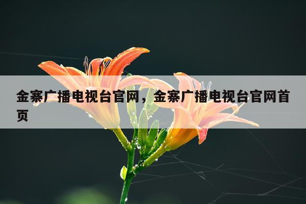 金寨广播电视台官网，金寨广播电视台官网首页