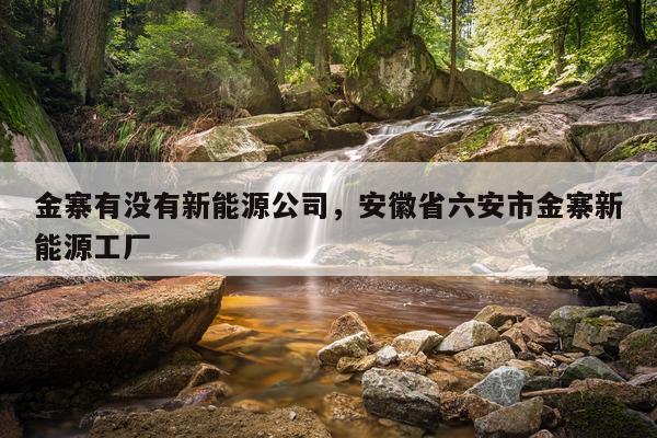 金寨有没有新能源公司，安徽省六安市金寨新能源工厂