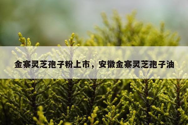 金寨灵芝孢子粉上市，安徽金寨灵芝孢子油