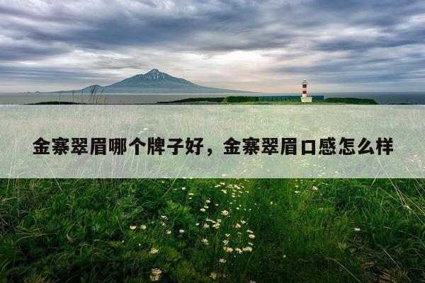 金寨翠眉哪个牌子好，金寨翠眉口感怎么样