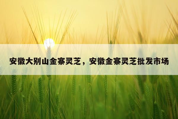 安徽大别山金寨灵芝，安徽金寨灵芝批发市场