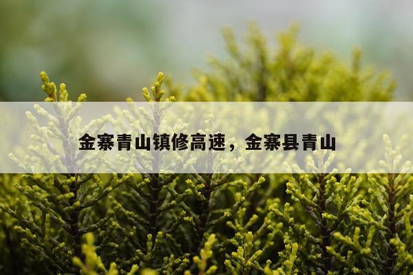 金寨青山镇修高速,金寨县青山