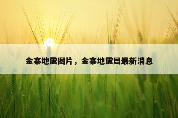 金寨地震图片，金寨地震局最新消息
