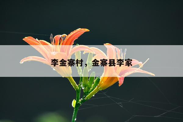 李金寨村，金寨县李家