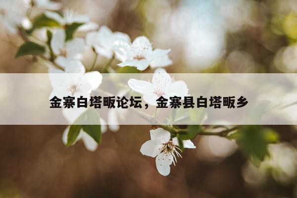 金寨白塔畈论坛,金寨县白塔畈乡