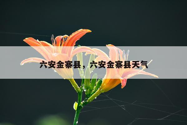 六安金寨县，六安金寨县天气