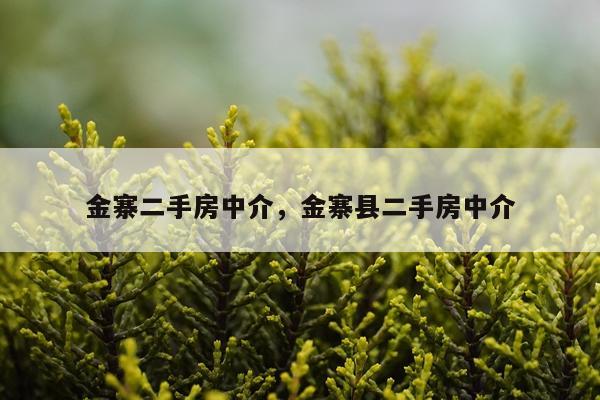 金寨二手房中介,金寨县二手房中介
