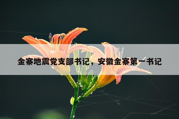 金寨地震党支部书记,安徽金寨第一书记