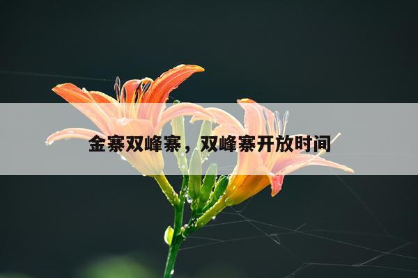 金寨双峰寨,双峰寨开放时间