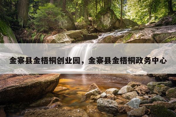 金寨县金梧桐创业园,金寨县金梧桐政务中心