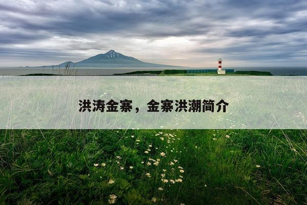 洪涛金寨,金寨洪潮简介