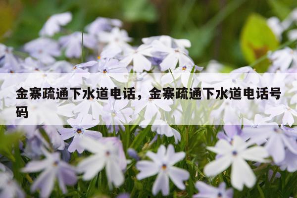 金寨疏通下水道电话,金寨疏通下水道电话号码
