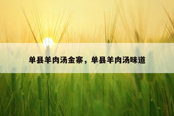 单县羊肉汤金寨,单县羊肉汤味道