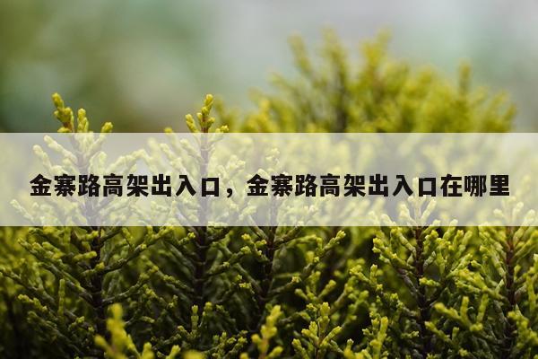 金寨路高架出入口，金寨路高架出入口在哪里
