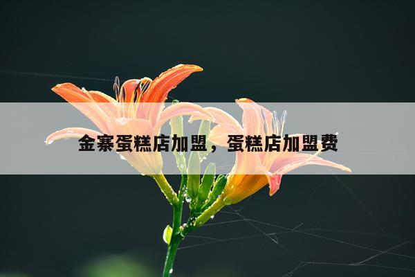 金寨蛋糕店加盟，蛋糕店加盟费