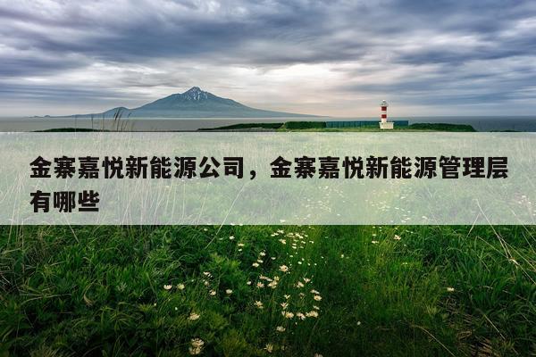 金寨嘉悦新能源公司，金寨嘉悦新能源管理层有哪些