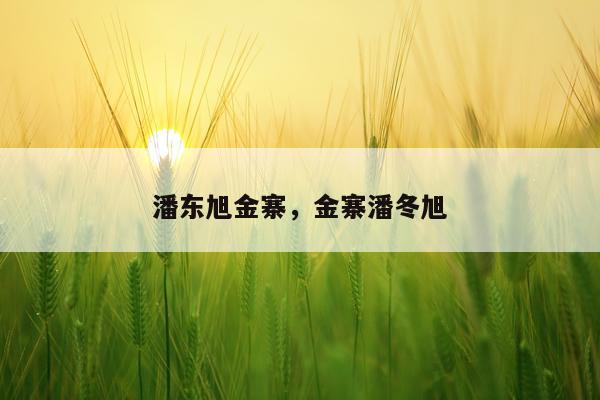 潘东旭金寨，金寨潘冬旭